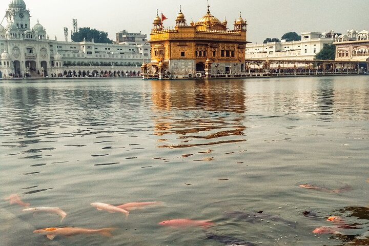 Amritsar Golden Temple Tour (Day/Night) - photo