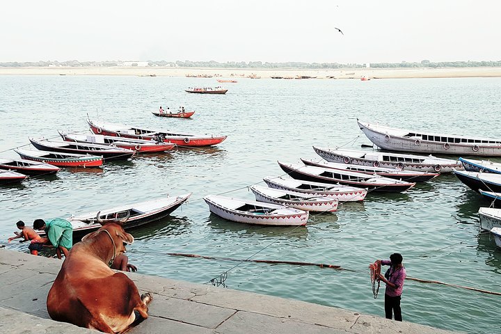 Explore the Highlights of Varanasi - photo